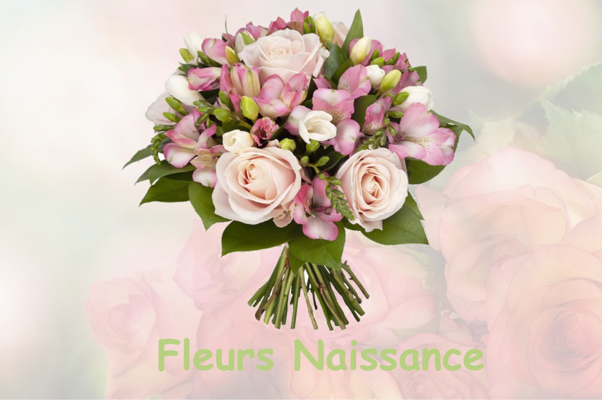 fleurs naissance FRAISSINET-DE-FOURQUES